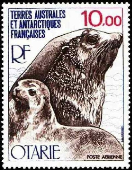 T.A.A.F PA N° 048 Obli