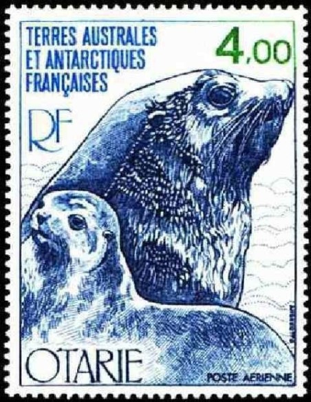 T.A.A.F PA N° 054 Obli