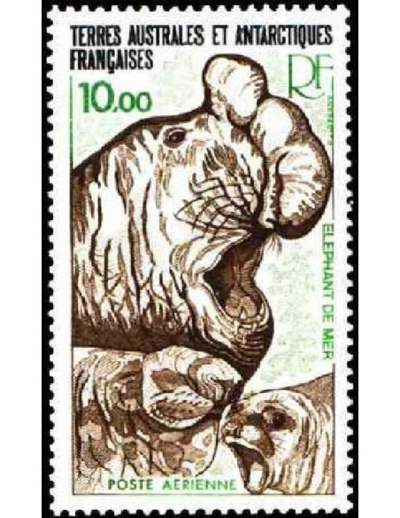 T.A.A.F PA N° 055  N **