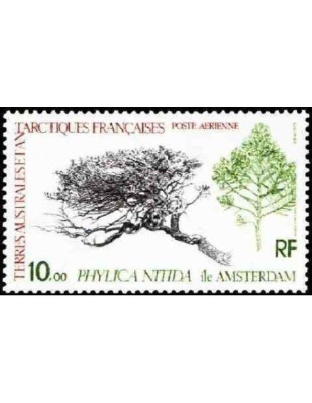 T.A.A.F PA N° 060 Obli