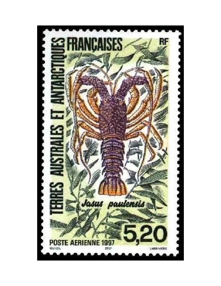 T.A.A.F PA N° 141  N **