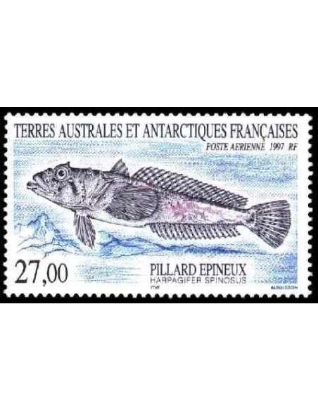 T.A.A.F PA N° 145  N **