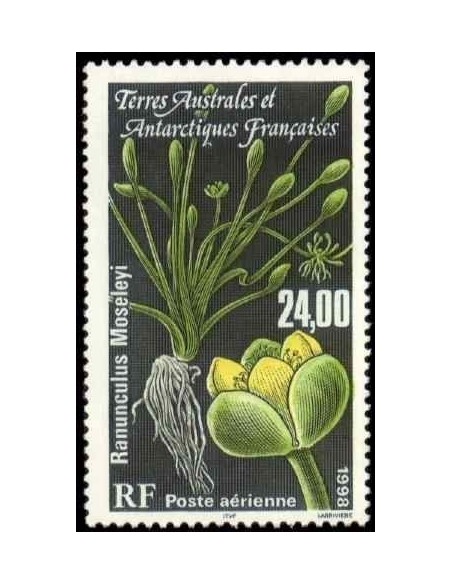 T.A.A.F PA N° 146  N **