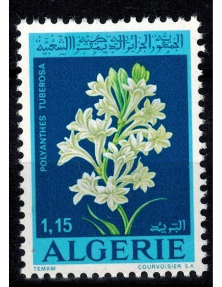 Algerie N° 0553 Obli