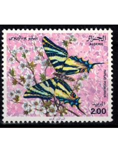 Algerie N° 0743 Obli