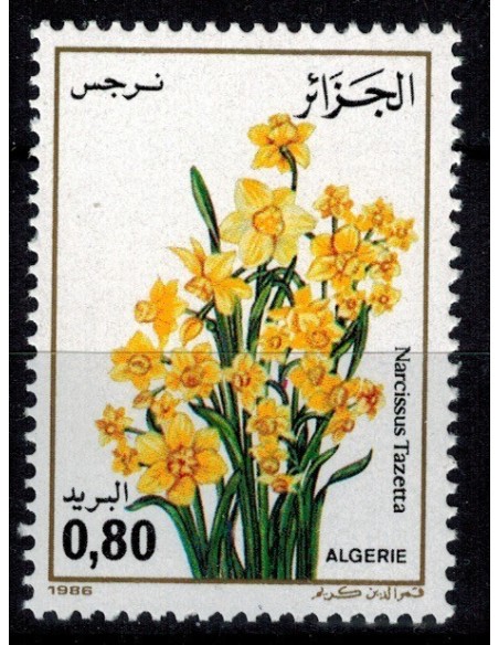 Algerie N° 0882 Obli