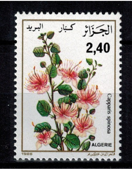 Algerie N° 0884 Obli