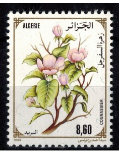 Algerie N° 1041 Obli