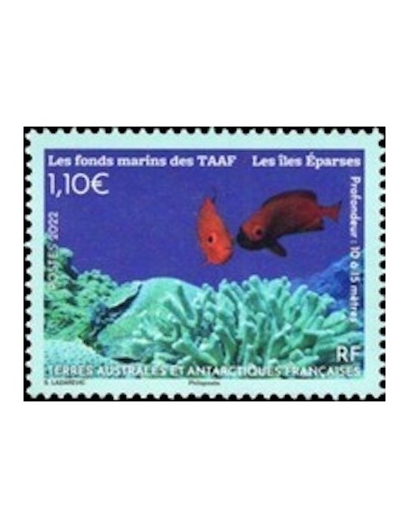 T.A.A.F N° 1005 Neuf **