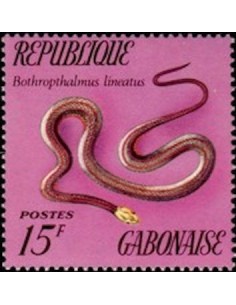 Ganbon N° 0300 Obli