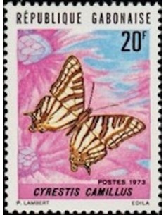 Ganbon N° 0306 Obli