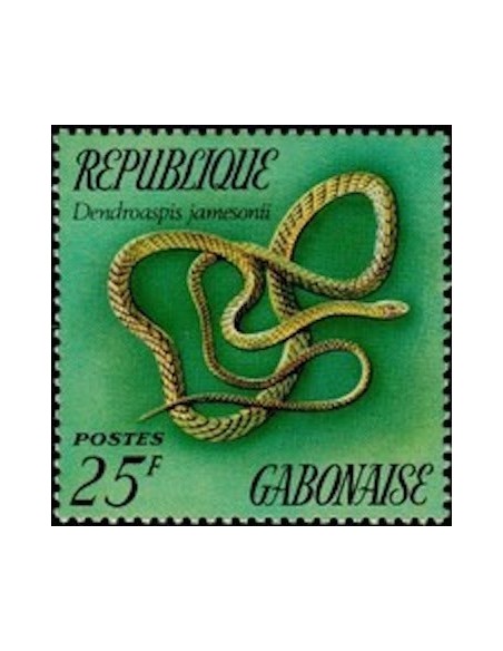 Ganbon N° 0301 Obli