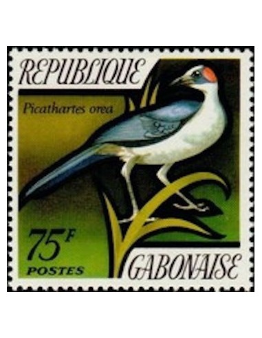 Ganbon N° 0281 Obli