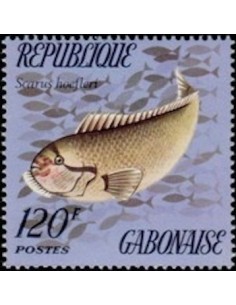 Ganbon N° 0350 Obli