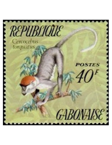 Ganbon N° 0329 Obli