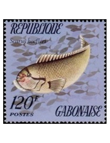 Ganbon N° 0350 Obli