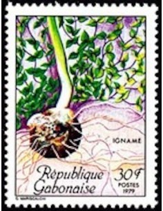 Ganbon N° 0424 Obli