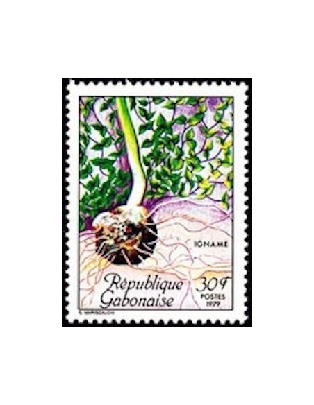 Ganbon N° 0424 Obli