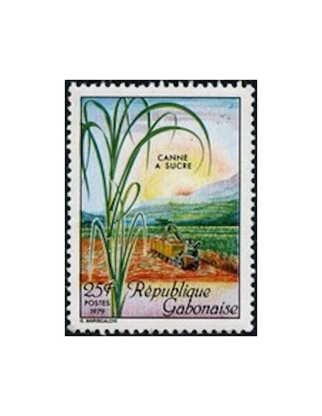 Ganbon N° 0423 Obli