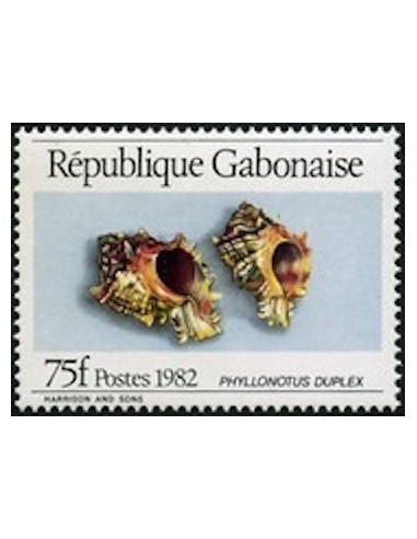 Ganbon N° 0507 Obli