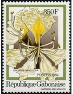 Ganbon N° 0557 Obli