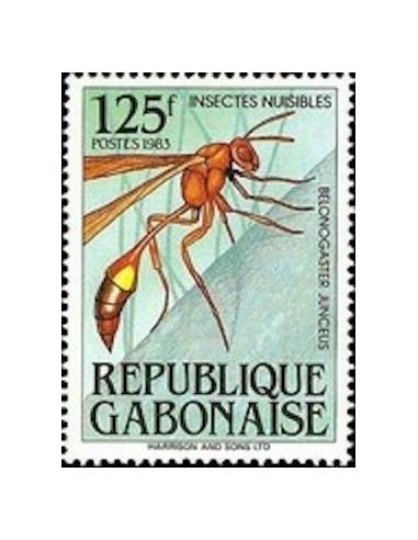 Ganbon N° 0546 Obli