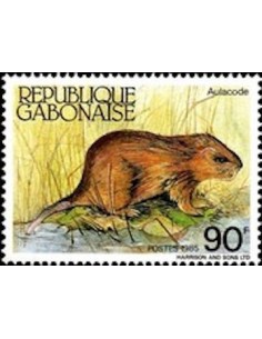 Ganbon N° 0586 Obli