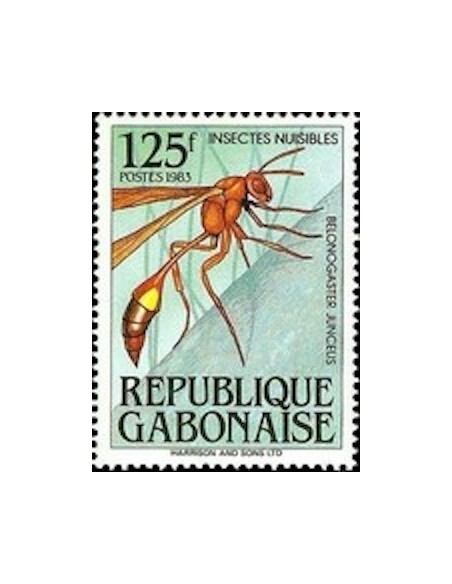 Ganbon N° 0546 Obli