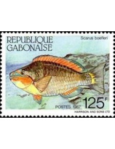 Ganbon N° 0613 Obli