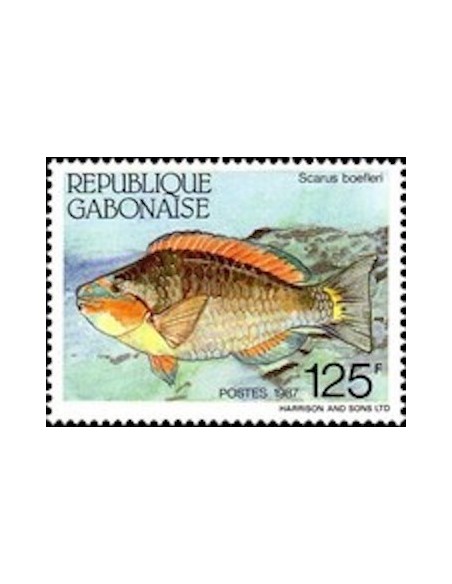 Ganbon N° 0613 Obli