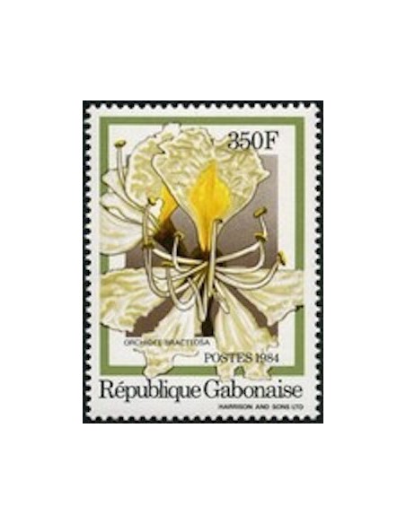 Ganbon N° 0557 Obli