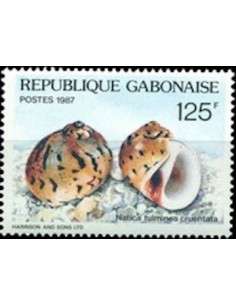 Ganbon N° 0622 Obli