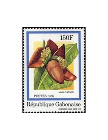 Ganbon N° 0605 Obli