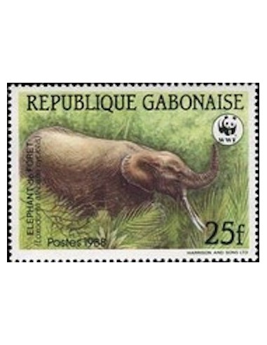 Ganbon N° 0640 Obli