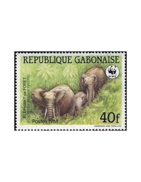 Ganbon N° 0641 Obli