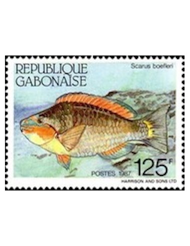 Ganbon N° 0613 Obli