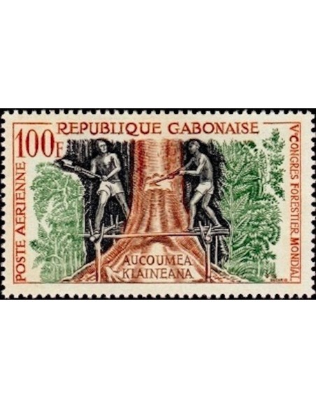 Ganbon PA N° 002 Obli