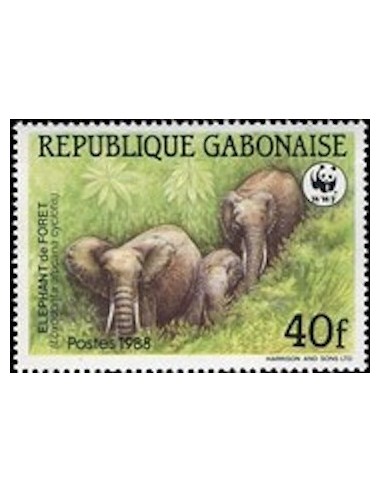 Ganbon N° 0641 Obli