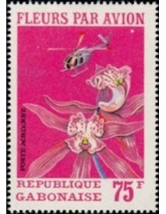 Ganbon PA N° 116 Obli