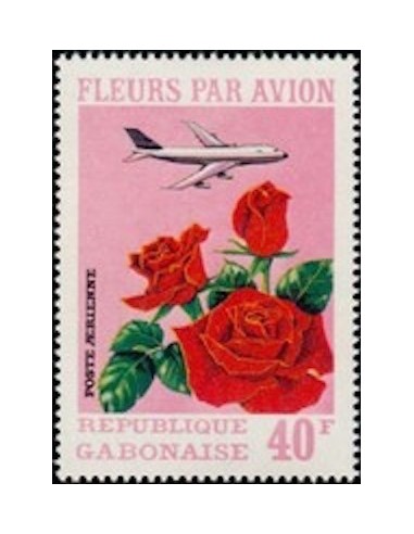 Ganbon PA N° 114 Obli