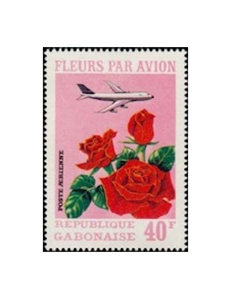 Ganbon PA N° 114 Obli