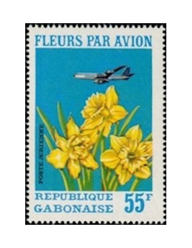 Ganbon PA N° 115 Obli