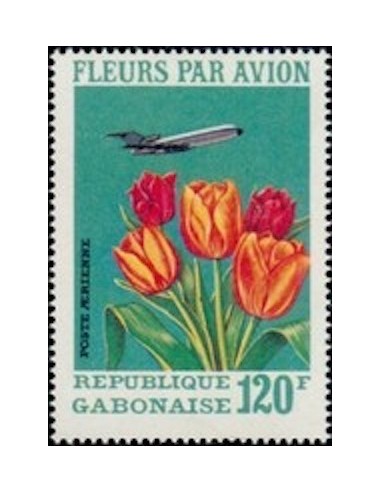 Ganbon PA N° 117 Obli