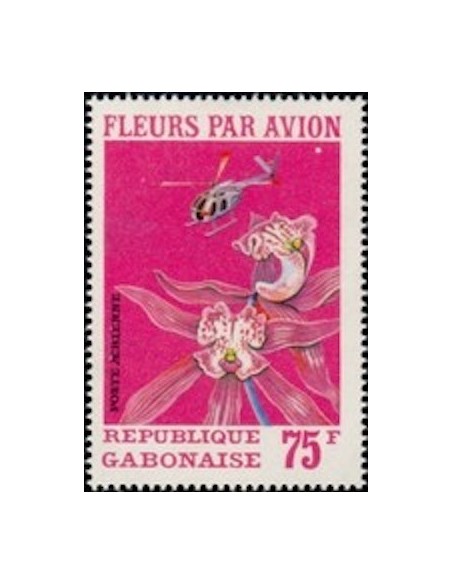 Ganbon PA N° 116 Obli