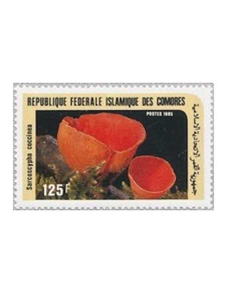 Comores N° 0436 Obli