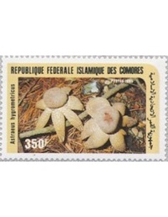 Comores N° 0438 Obli