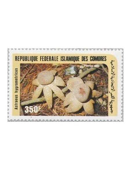 Comores N° 0438 Obli