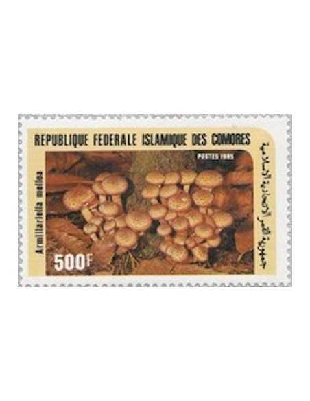 Comores N° 0439 Obli