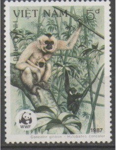 Rep Soc Viet N° 0803 Obli