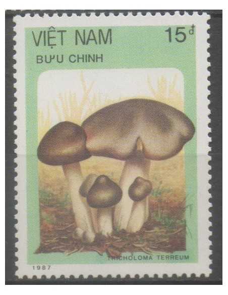 Rep Soc Viet N° 0850 Obli